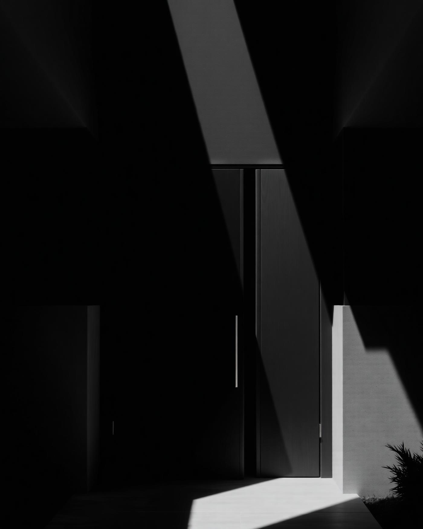 Monolithic pivot entry door in dramatic light